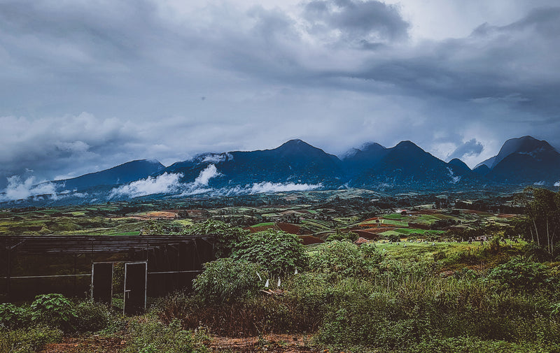 Mountains of Bukidnon